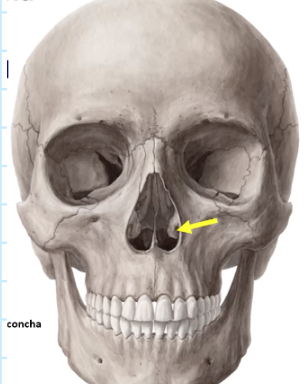 Card front image