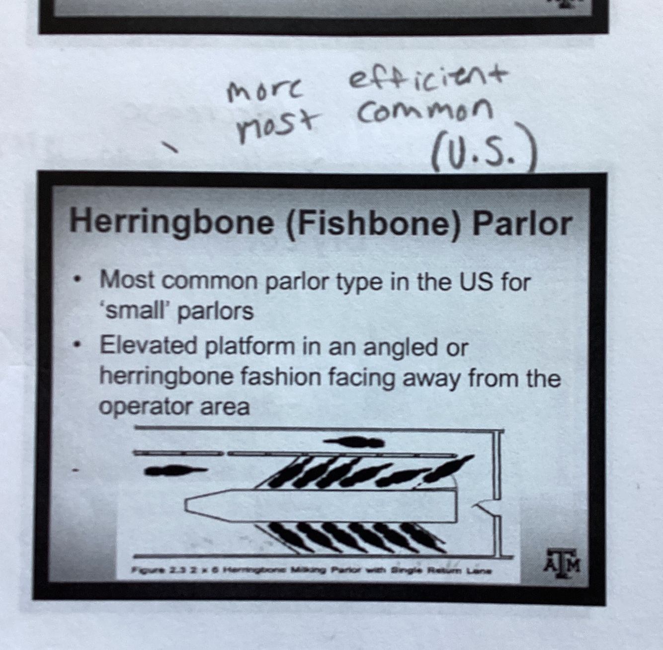 Card back image