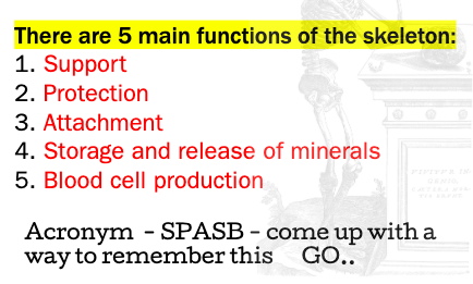Card back image