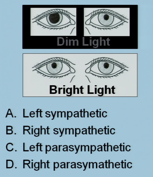 Card front image