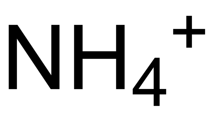 Card back image