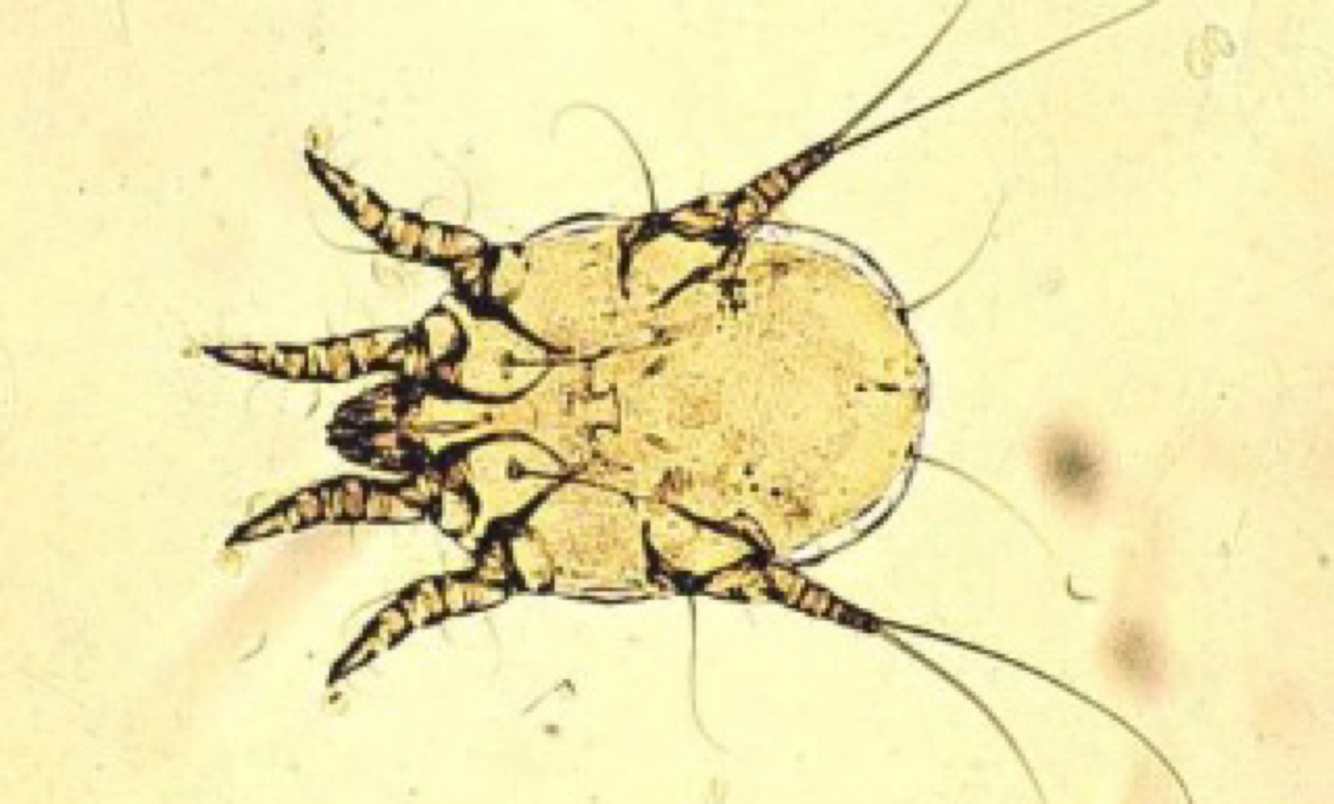 Card front image