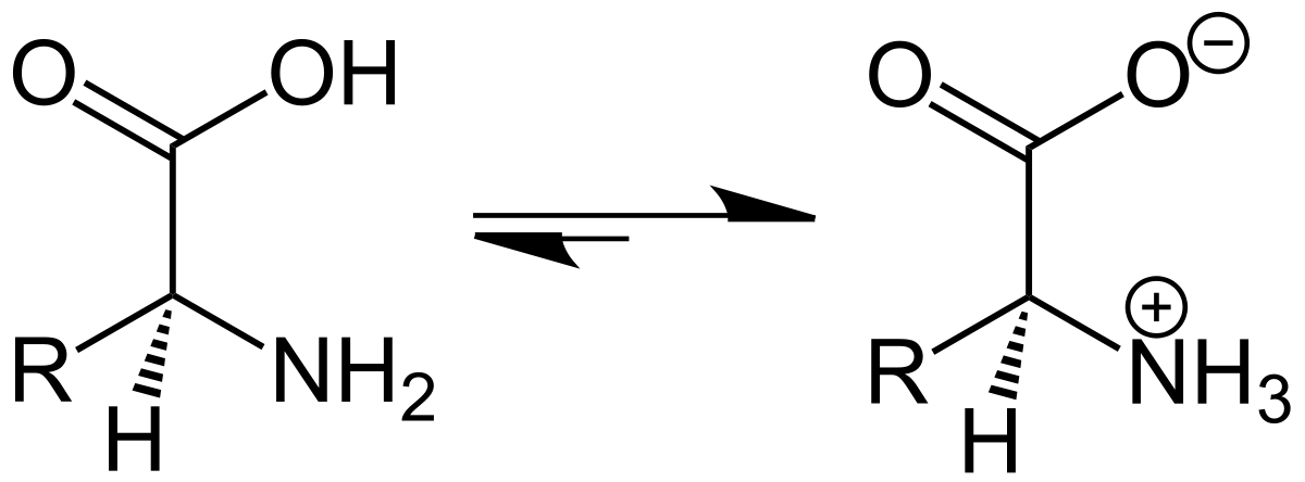 Card back image
