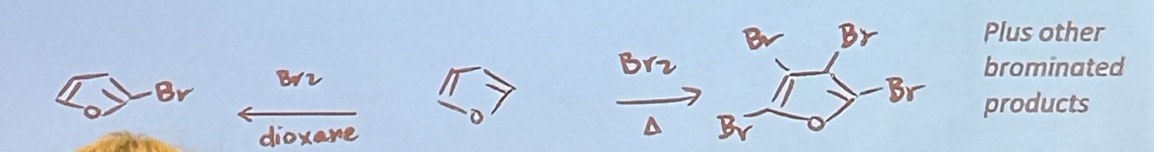 Card back image