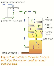 Card back image