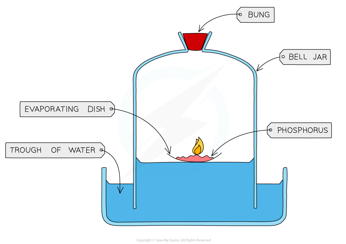 Card back image