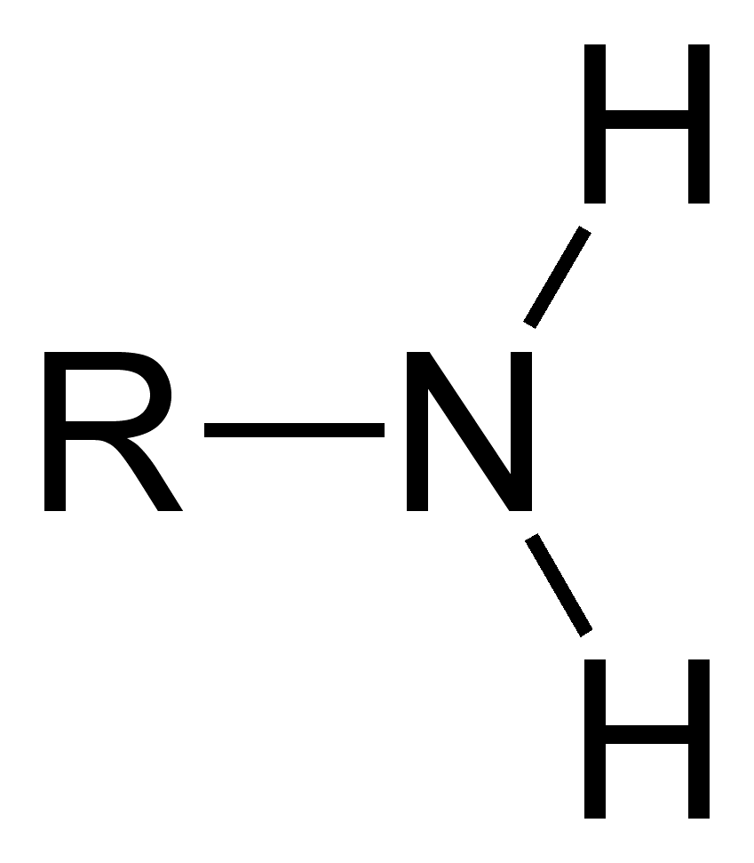 卡片正面图片