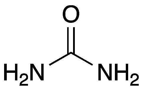 Card back image