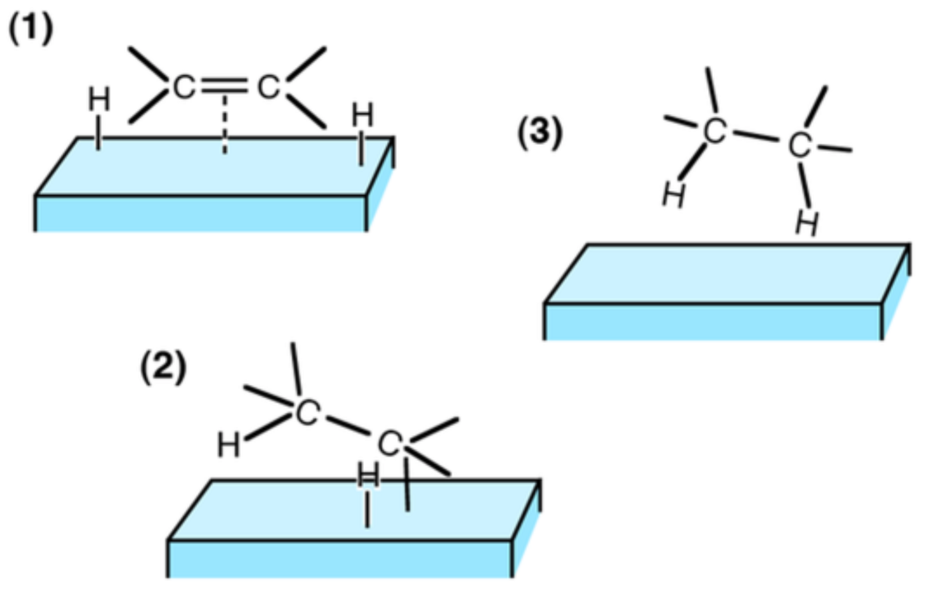 Card back image