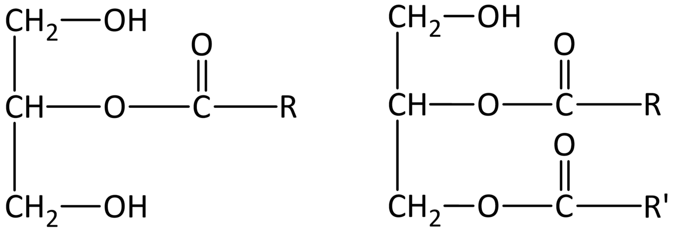 Card back image