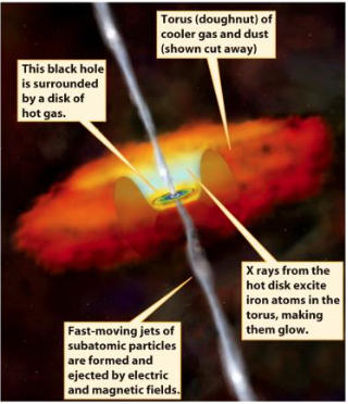 Card back image