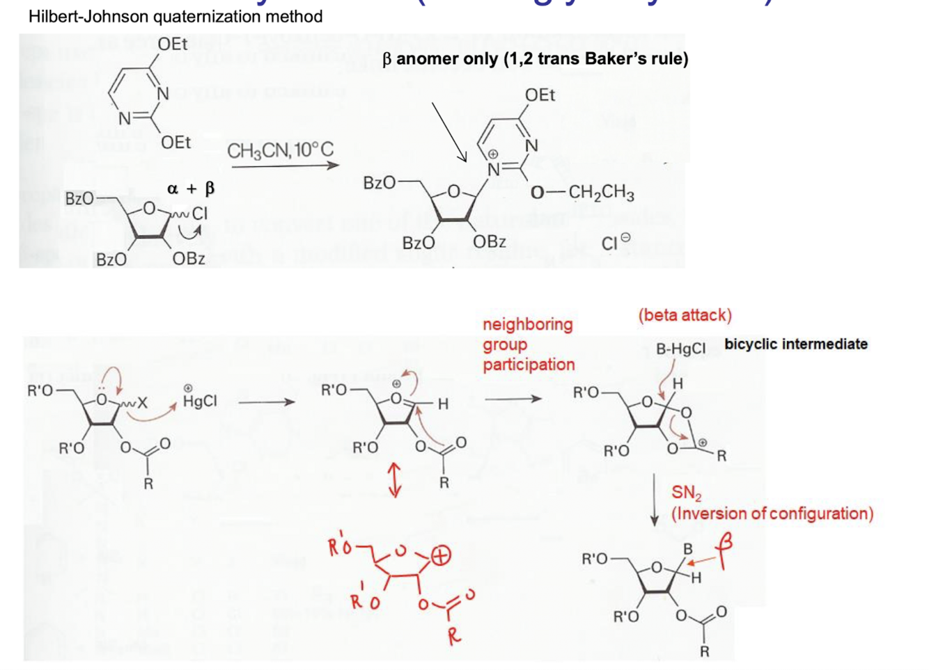 Card back image