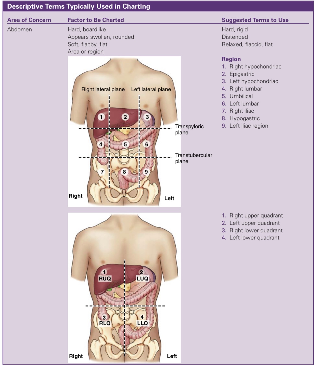 Card back image