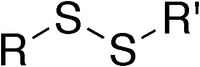 卡片背面图片