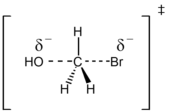 Card back image