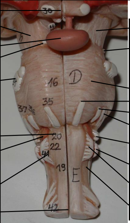 Card front image