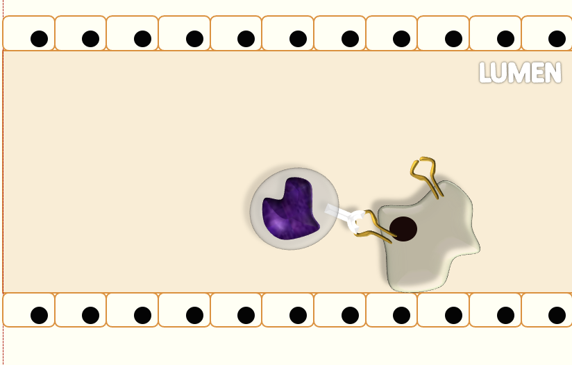 Card back image