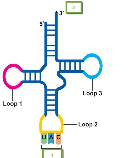 Card front image