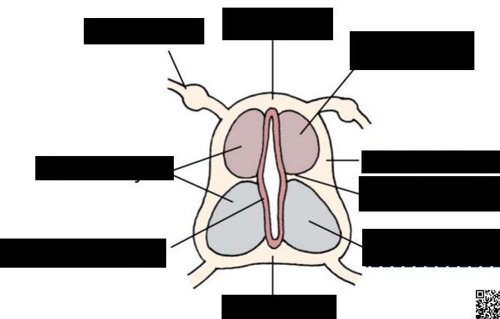 Card front image