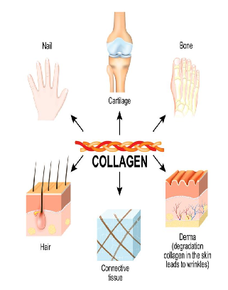 Card back image