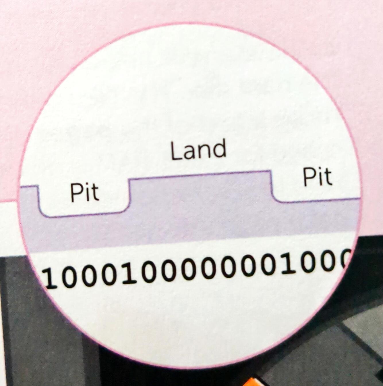 Card back image