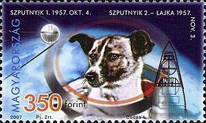 Card back image