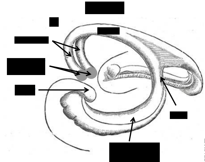 Card front image